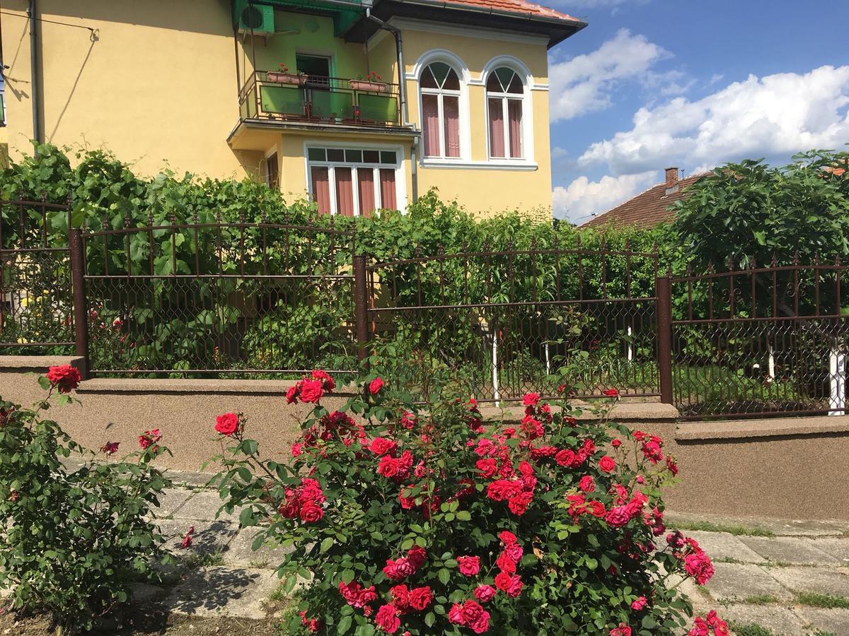 Vila Arjana Orşova Exterior foto